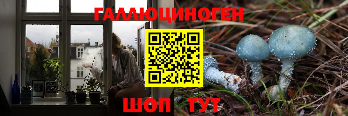 магазин    Псилоцибиновые грибы Magic Shrooms  Вход с VPN  Малоярославец 